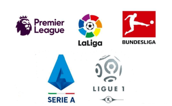 昙花一现 昙花一现